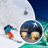 Bay nội địa 0 đồng - cùng Japan Airlines khám phá mùa đông Nhật Bản